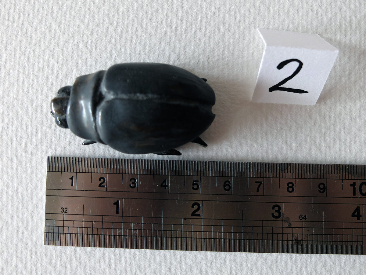 The Midnight Beetle (#2) – Handcrafted Ceramic Beetle