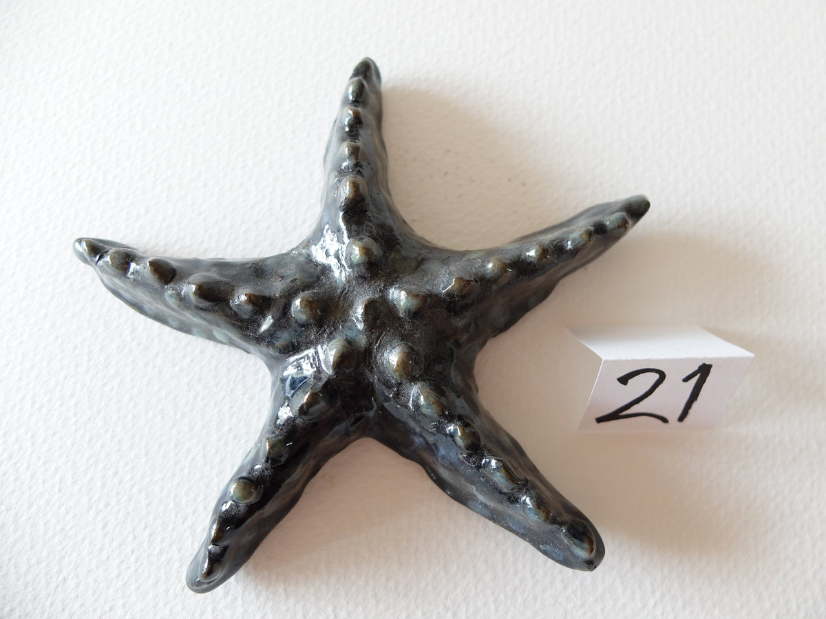 The Knobby Starfish (#21) – Handcrafted Ceramic Sea Creature