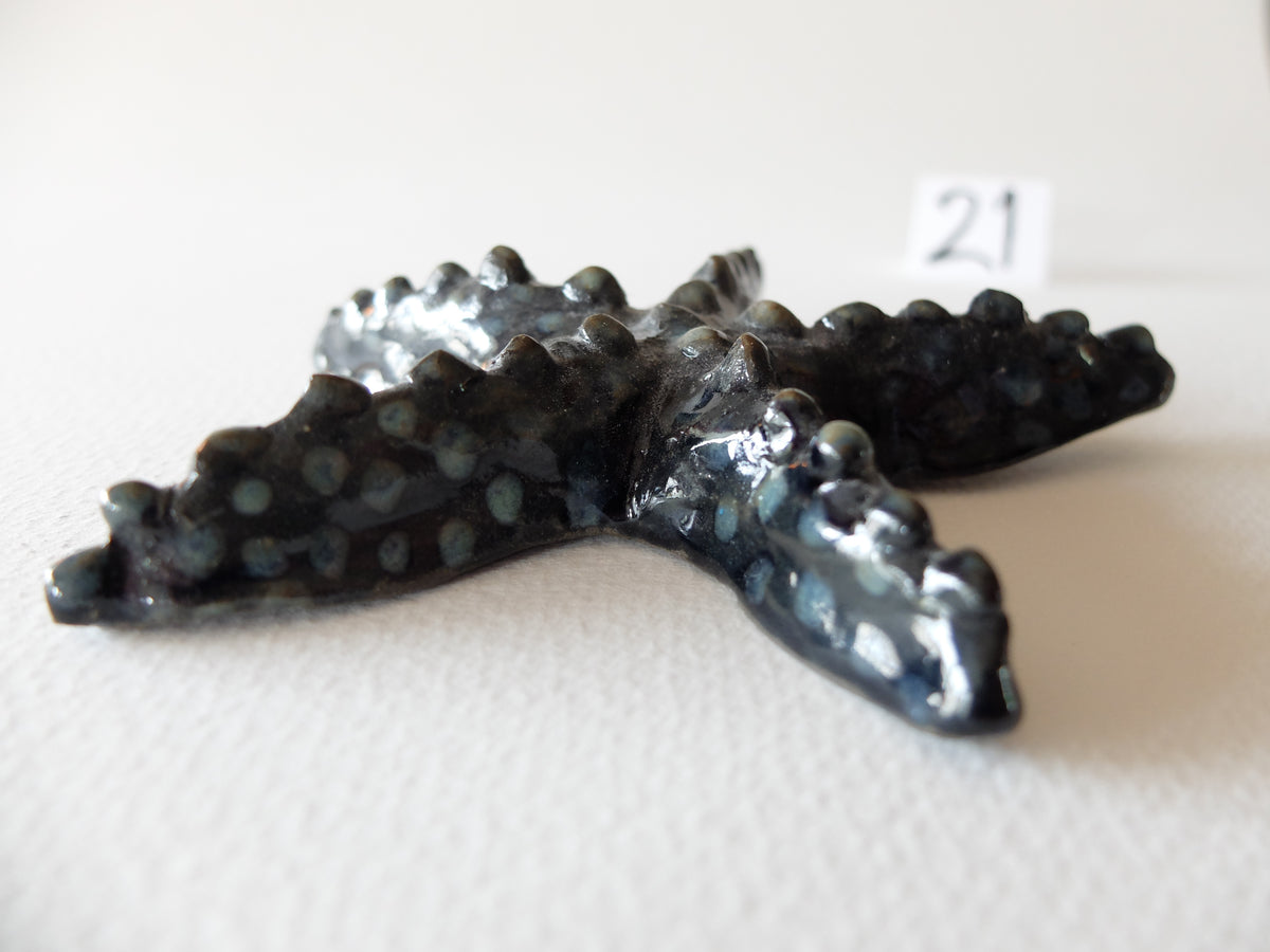 The Knobby Starfish (#21) – Handcrafted Ceramic Sea Creature